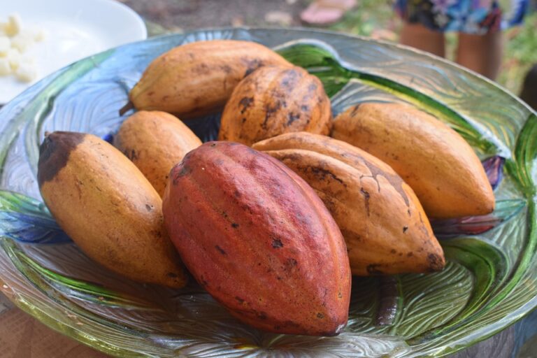 aztec chocolate culture