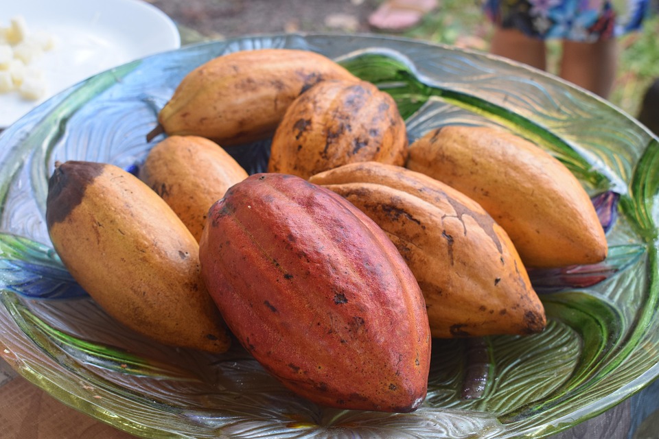 aztec chocolate culture