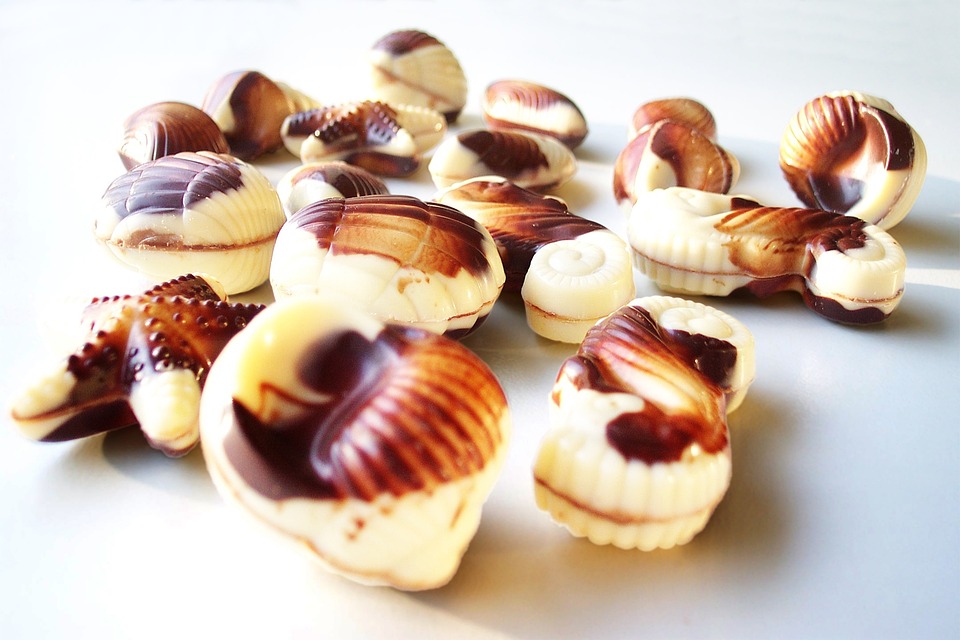 belgian chocolate brands