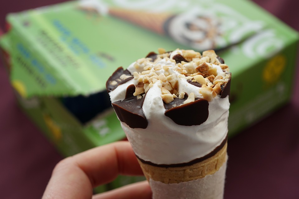 vegan chocolate guide