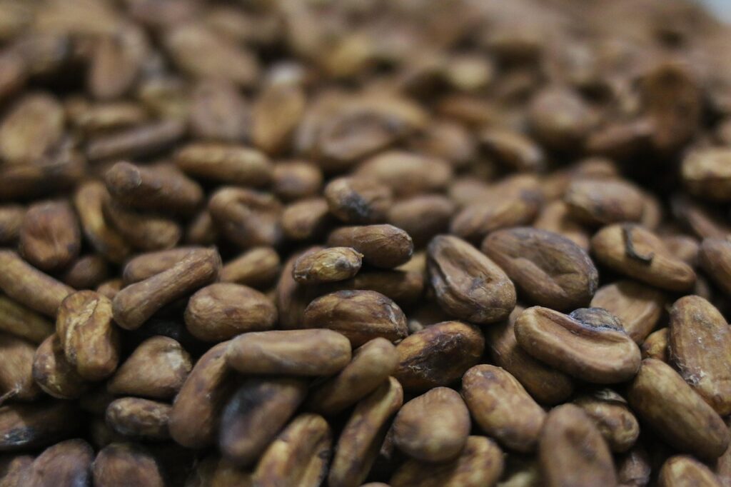 cacao-4722283_1280