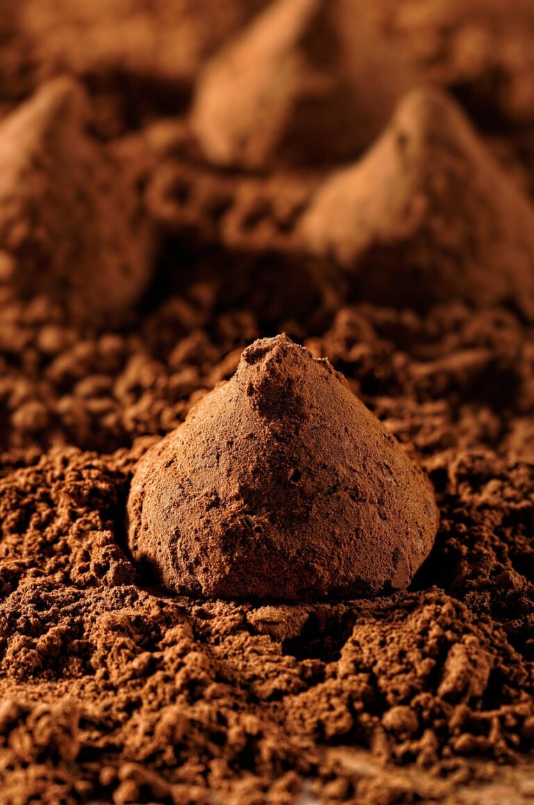 truffles-6636081_1280